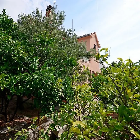 House Miroslav Holiday home