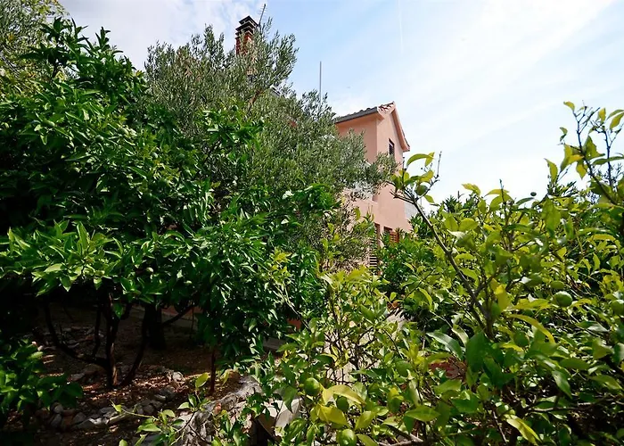 House Miroslav בית נופש